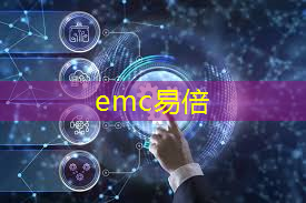 emc易倍体育官方入口：讷河新型智慧城市项目