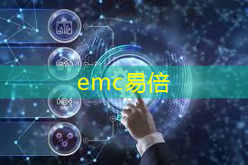 emc易倍体育官方入口：香港理工大学24fall智慧城市