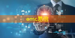 emc易倍：智慧生态城市成果有哪些