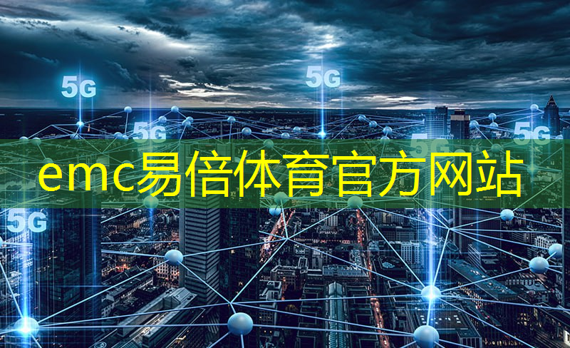 emc易倍体育官方网站：数据要素智慧城市包括什么