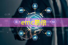 emc易倍：5g工业互联网刘金明