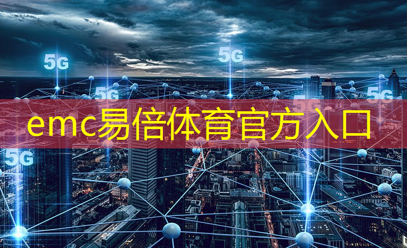 emc易倍体育官方网站：谷歌推出定制化机器学习芯片 速度是传统GPU的15到30