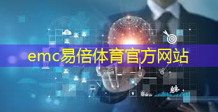 东凤智慧城市供应商